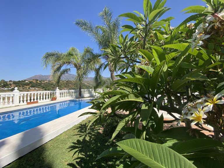 Villa for Sale in Estepona, Malaga 22