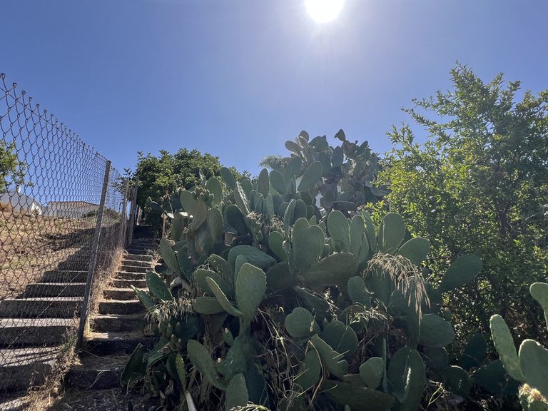 Villa for Sale in Estepona, Malaga 26