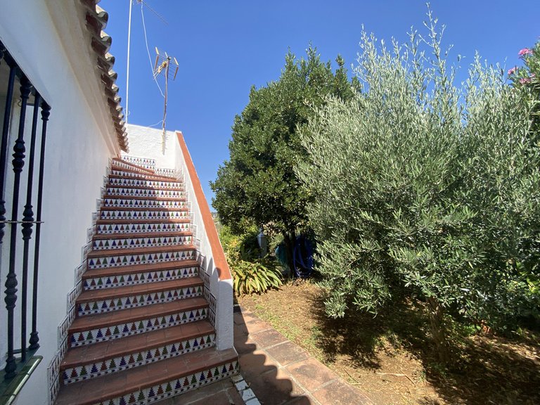 Villa for Sale in Estepona, Malaga 6