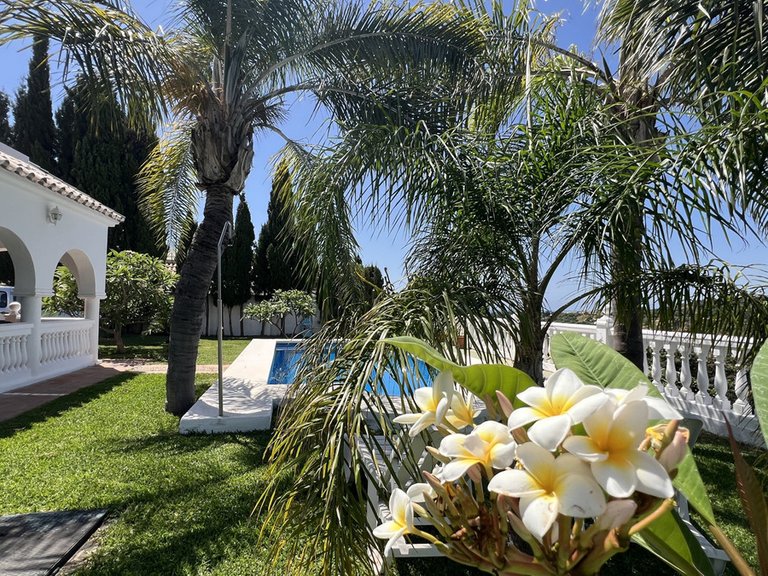 Villa for Sale in Estepona, Malaga 8