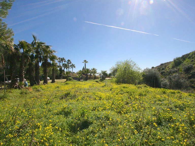 Villa for Sale in Mijas, Malaga 40