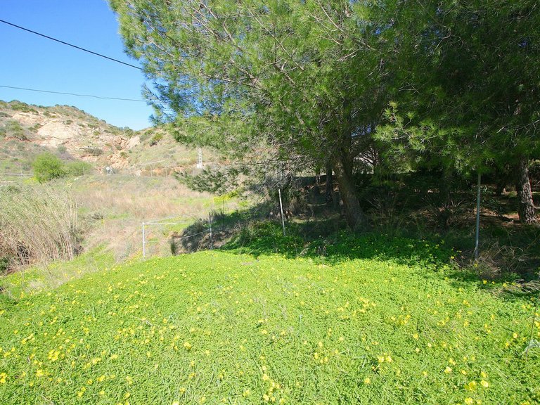 Villa for Sale in Mijas, Malaga 41