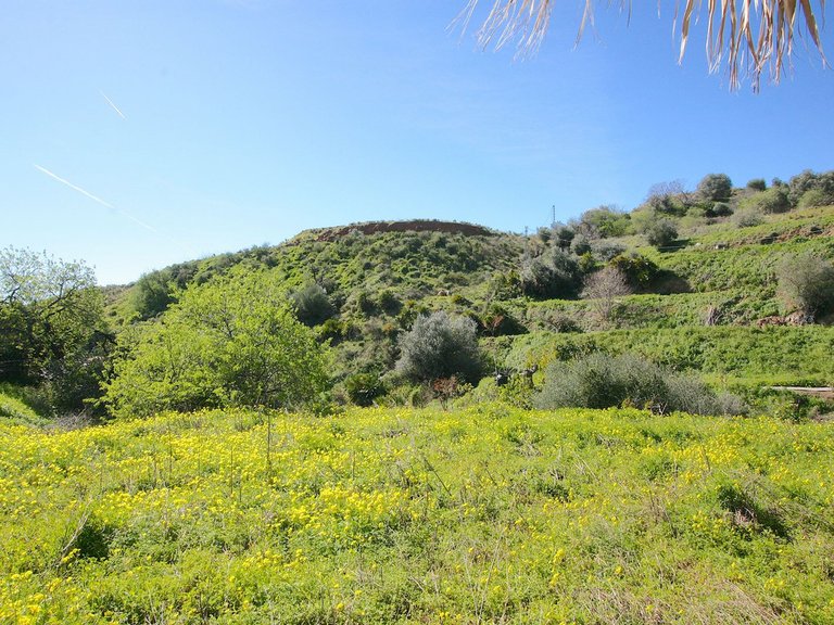 Villa for Sale in Mijas, Malaga 42