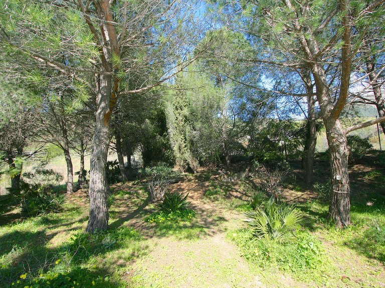 Villa for Sale in Mijas, Malaga 43