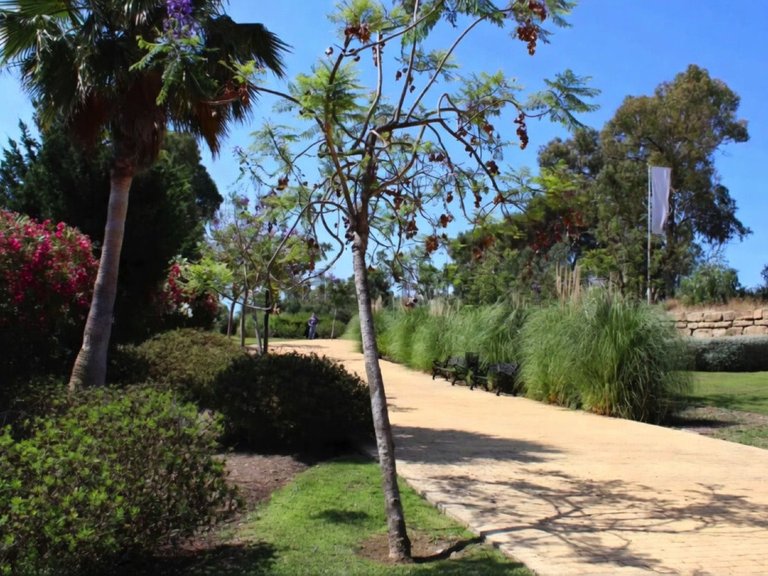 Apartment for Sale in Benahavís, Malaga 8