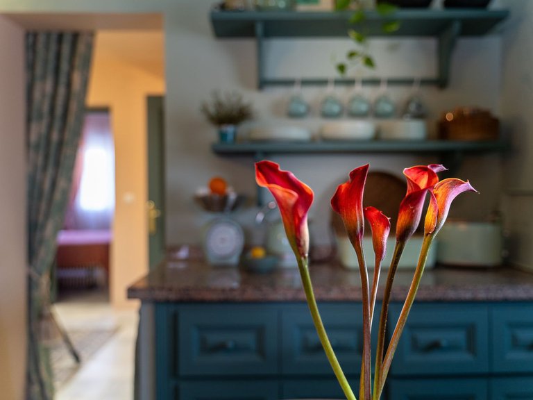 Villa for Sale in San Pedro De Alcántara, Malaga 16