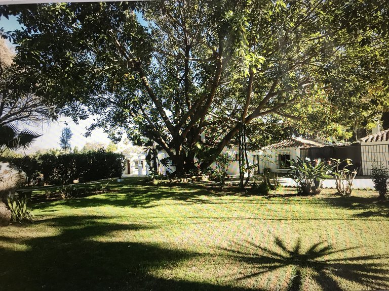 Villa for Sale in Guadalmina Baja, Malaga 4