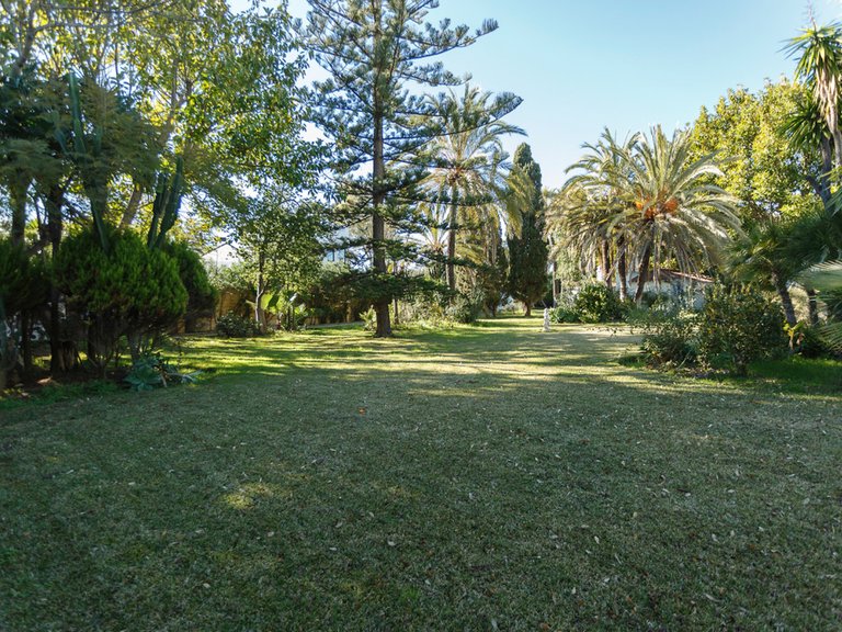 Villa for Sale in Guadalmina Baja, Malaga 5