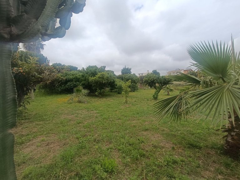 Plot for Sale in Mijas, Malaga 5