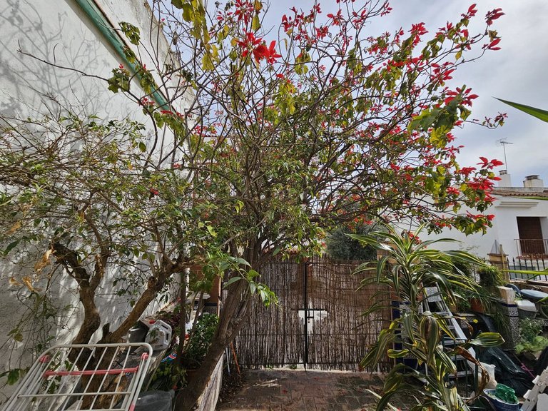 Villa for Sale in Estepona, Malaga 16