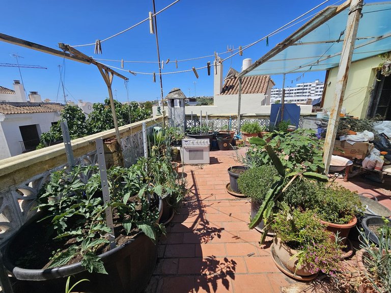 Villa for Sale in Estepona, Malaga 2