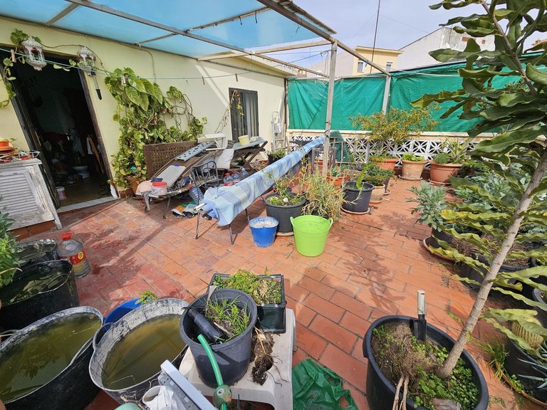 Villa for Sale in Estepona, Malaga 8