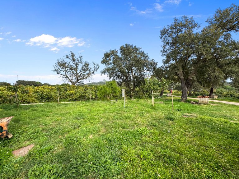 Villa for Sale in Sotogrande, Cadiz 22