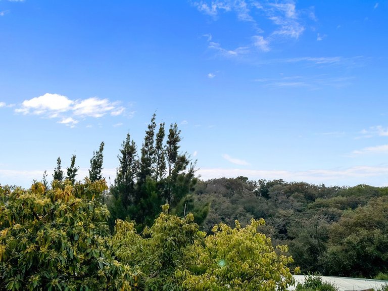 Villa for Sale in Sotogrande, Cadiz 27