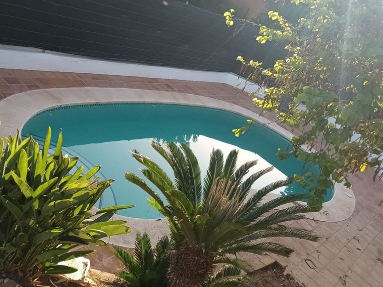 Villa for Sale in Benalmadena, Malaga 49