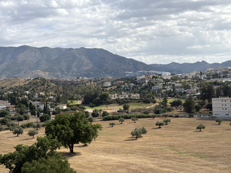 Penthouse for Rent in La Cala Hills, Malaga 25