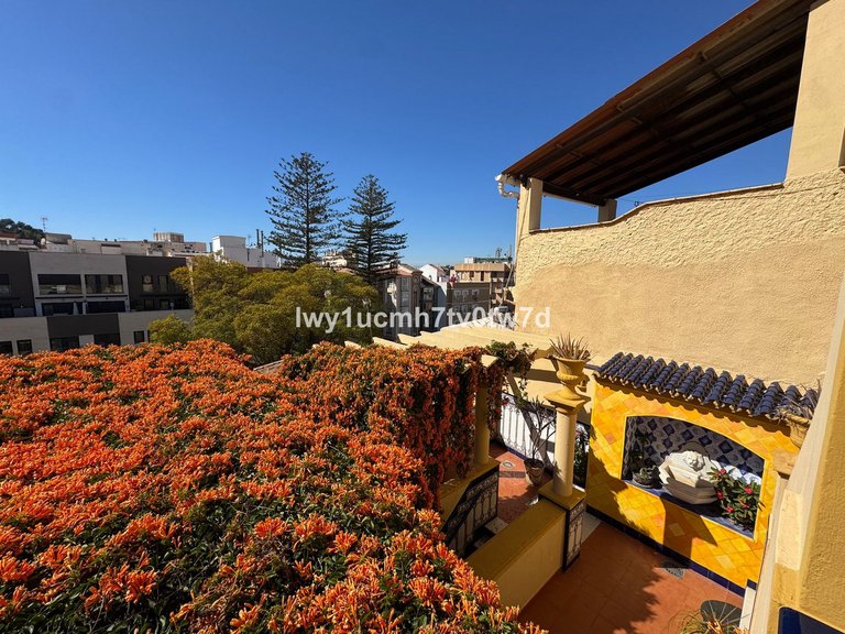 Villa for Sale in Malagueta, Malaga 15