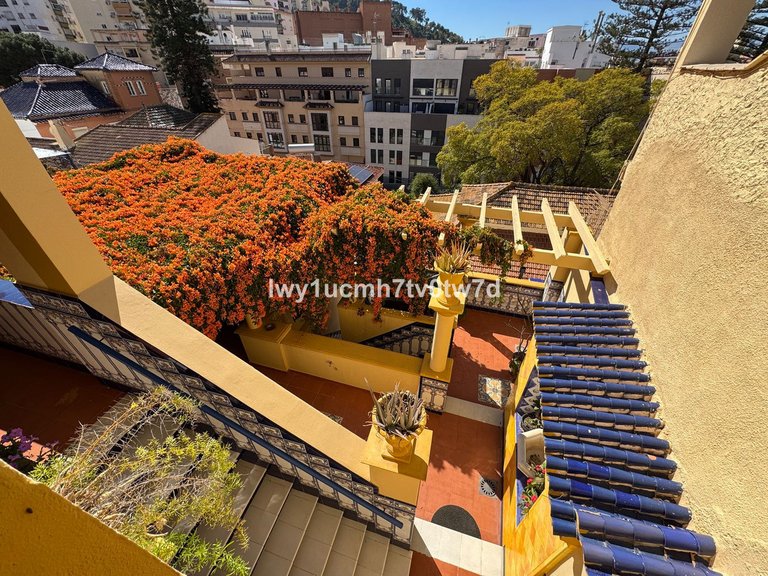 Villa for Sale in Malagueta, Malaga 43