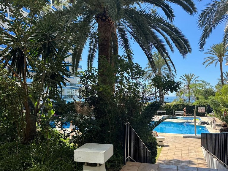 Apartment for Sale in Marbella, Malaga 10