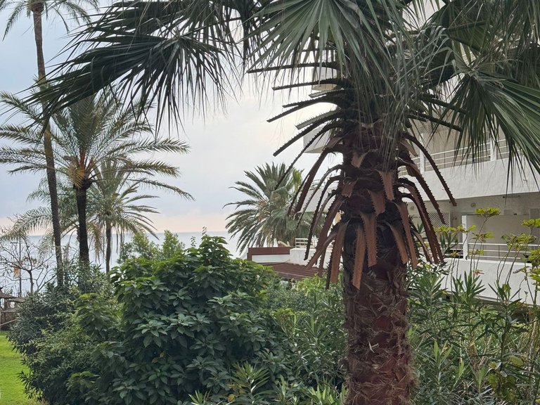 Apartment for Sale in Marbella, Malaga 5
