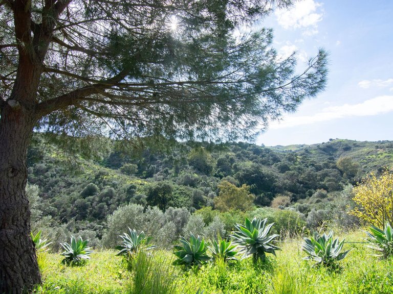 Villa for Sale in La Cala Golf, Malaga 2