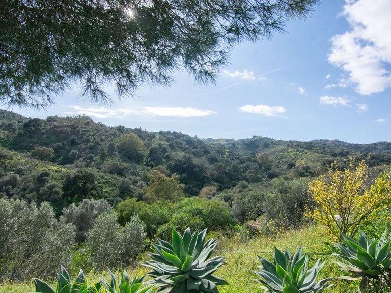 Villa for Sale in La Cala Golf, Malaga 31