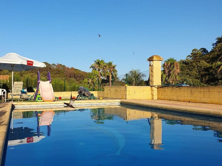 Villa for Sale in Estepona, Malaga 1
