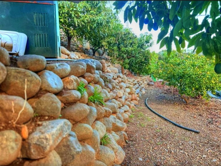 Villa for Sale in Estepona, Malaga 15