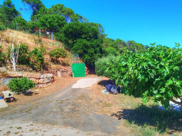 Villa for Sale in Estepona, Malaga 17