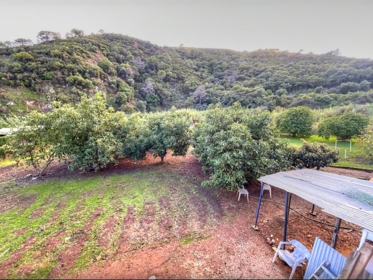 Villa for Sale in Estepona, Malaga 5