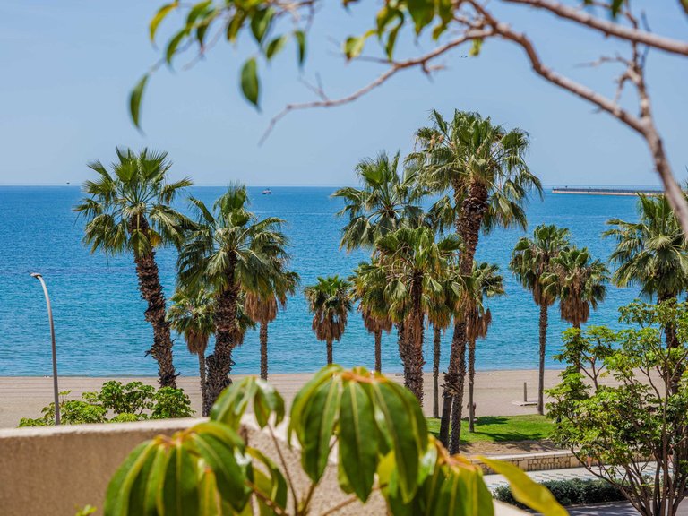 Apartment for Sale in Málaga Centro, Malaga 2