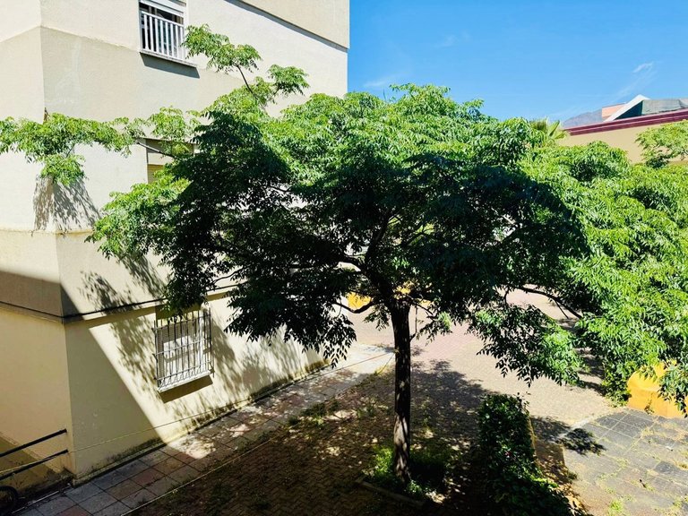 Apartment for Sale in Estepona, Malaga 22