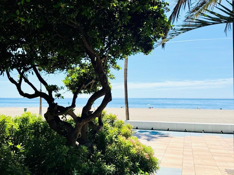 Apartment for Sale in Estepona, Malaga 4