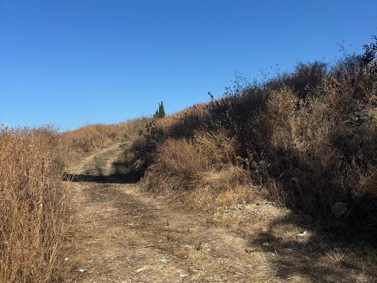 Plot for Sale in Marbella, Malaga 6