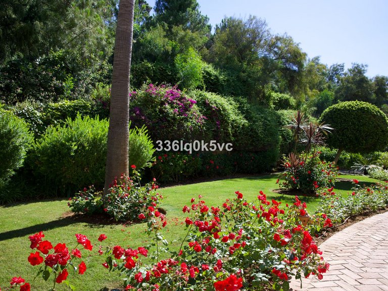 Apartment for Sale in Los Arqueros, Malaga 4