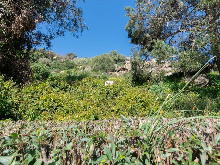 Plot for Sale in Manilva, Malaga 12