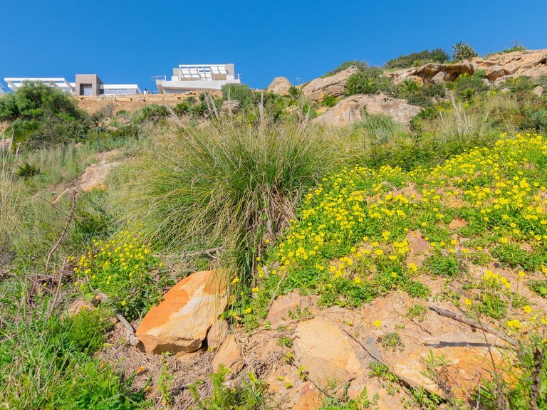 Plot for Sale in Manilva, Malaga 16