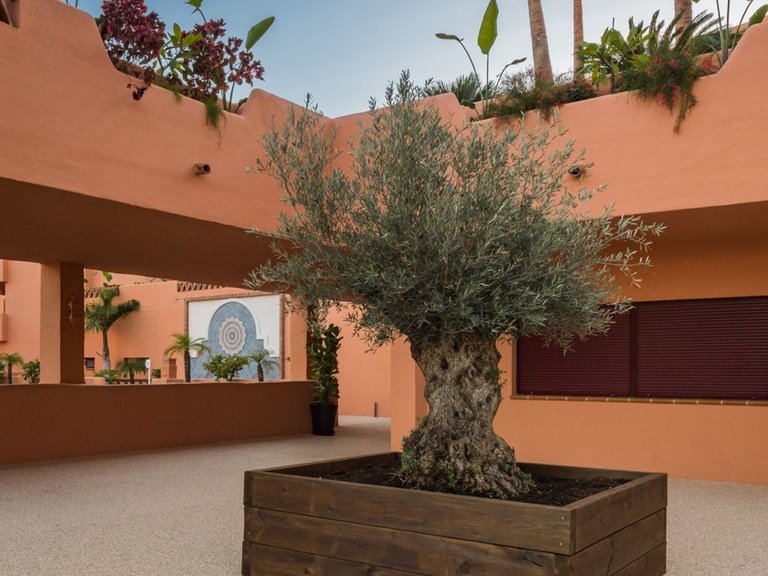 Apartment for Sale in El Paraiso, Malaga 16