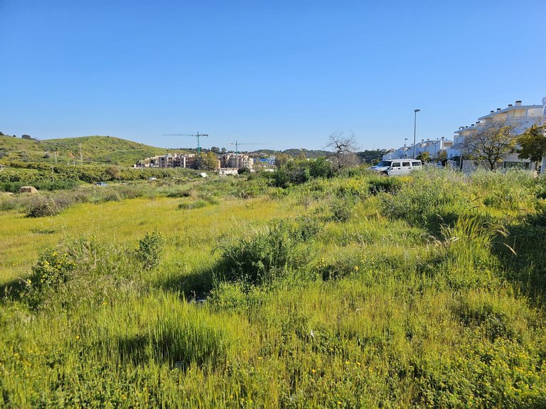 Plot for Sale in La Cala De Mijas, Malaga 3