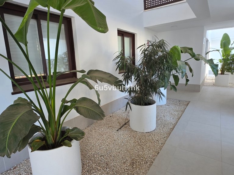 Apartment for Sale in Fuengirola, Malaga 19