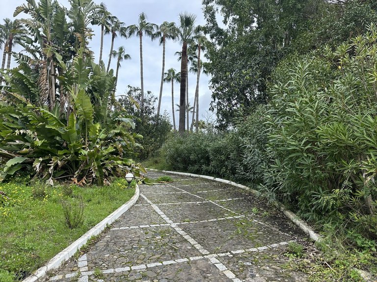 Plot for Sale in Nagüeles, Malaga 11
