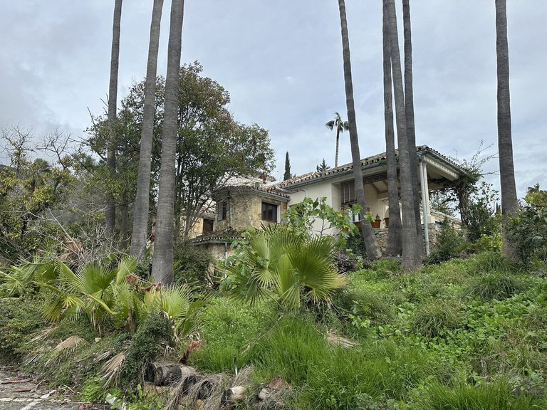 Plot for Sale in Nagüeles, Malaga 12