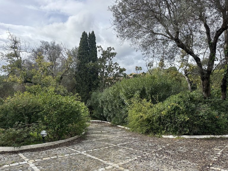 Plot for Sale in Nagüeles, Malaga 22