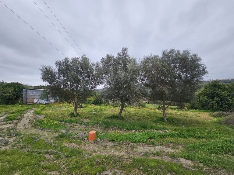 Villa for Sale in Manilva, Malaga 5
