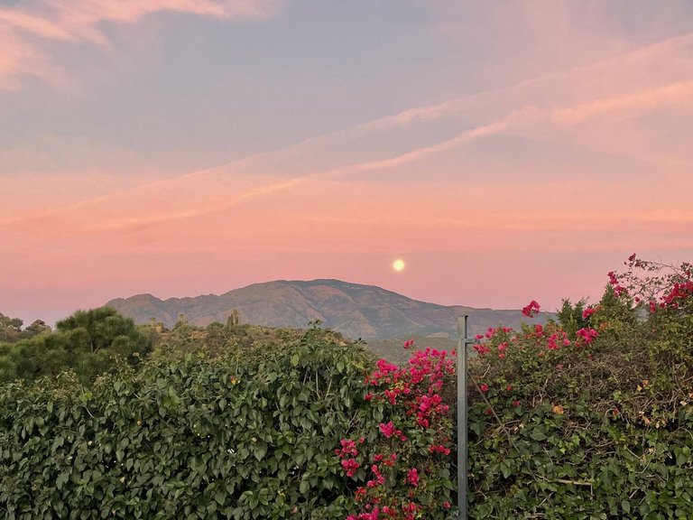 Villa for Sale in Estepona, Malaga 38