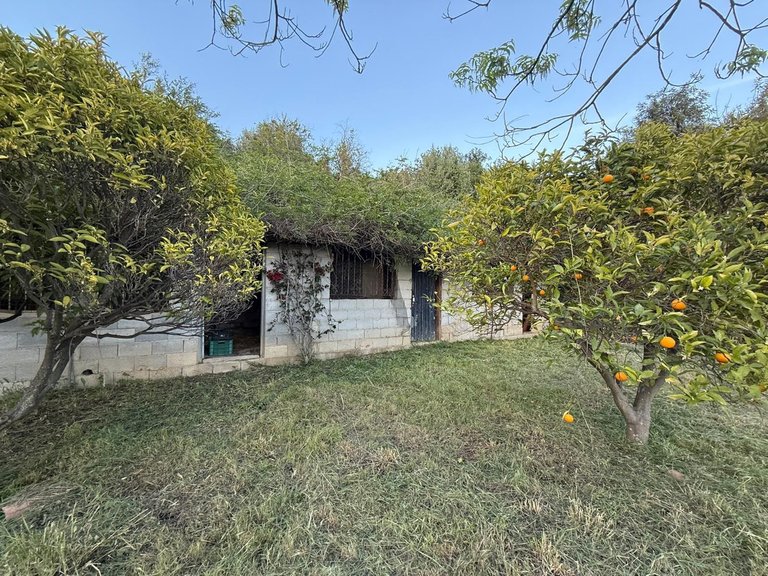 Villa for Sale in Estepona, Malaga 57