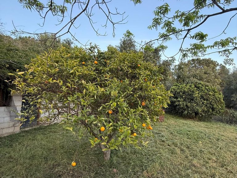 Villa for Sale in Estepona, Malaga 58