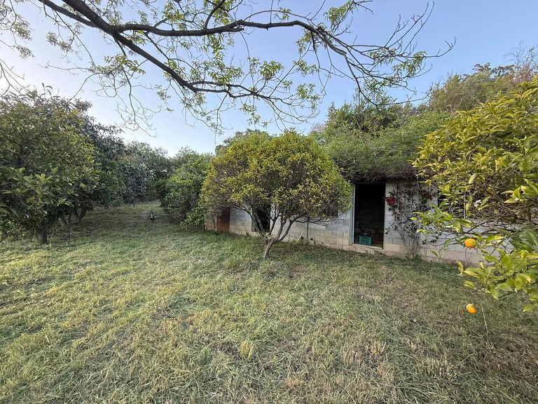 Villa for Sale in Estepona, Malaga 59