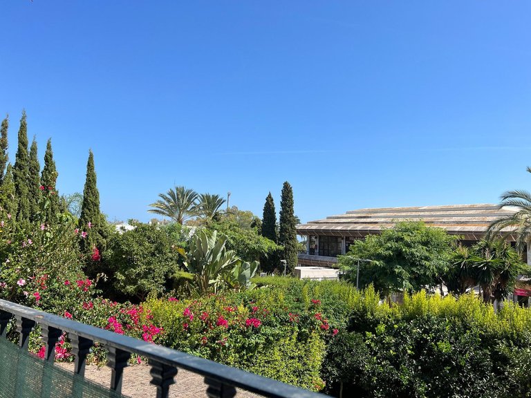 Apartment for Sale in Guadalmina Alta, Malaga 13