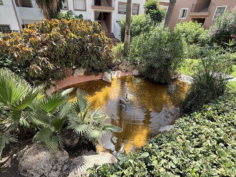 Apartment for Sale in Guadalmina Alta, Malaga 34